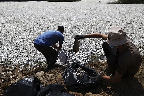 Extreme climate fluctuations Greece
